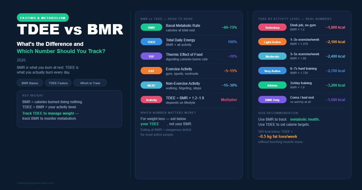 TDEE vs BMR: What’s the Difference and Which Number Should You Track? (2026)